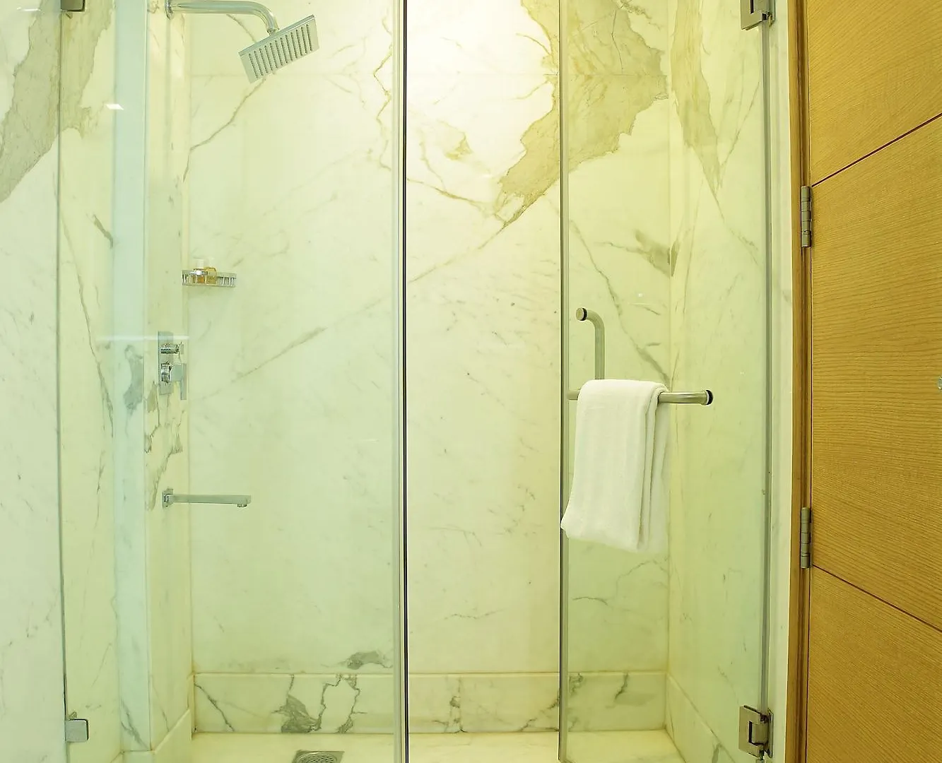 ****  The Ocean Pearl Gardenia Hotel New Delhi India